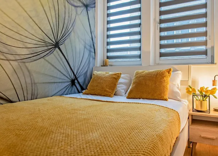 3d Kosciuszki 19 Apartamento