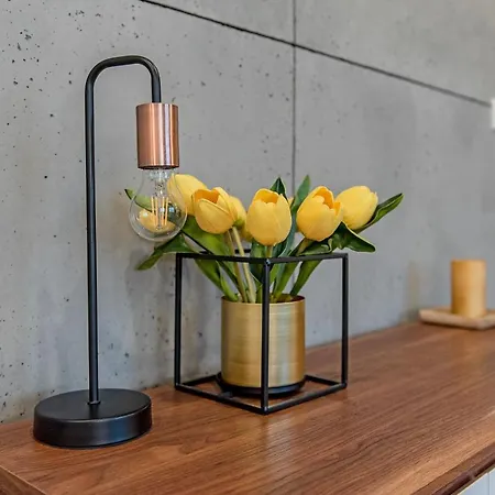 דירה 3d Kosciuszki 19 *