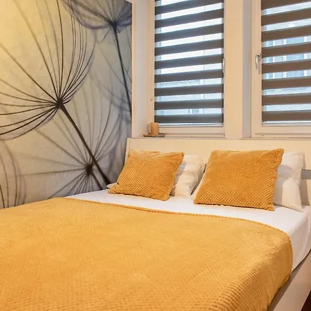 3d Kosciuszki 19 Apartamento