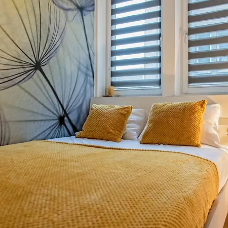 3d Kosciuszki 19 Apartamento